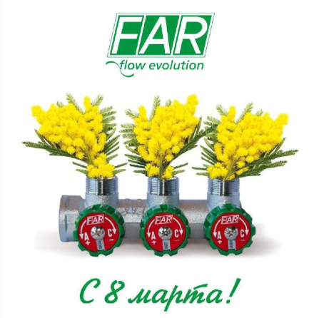 с Международным женским днем!